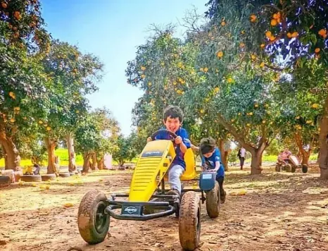 קארטינג משפחתי